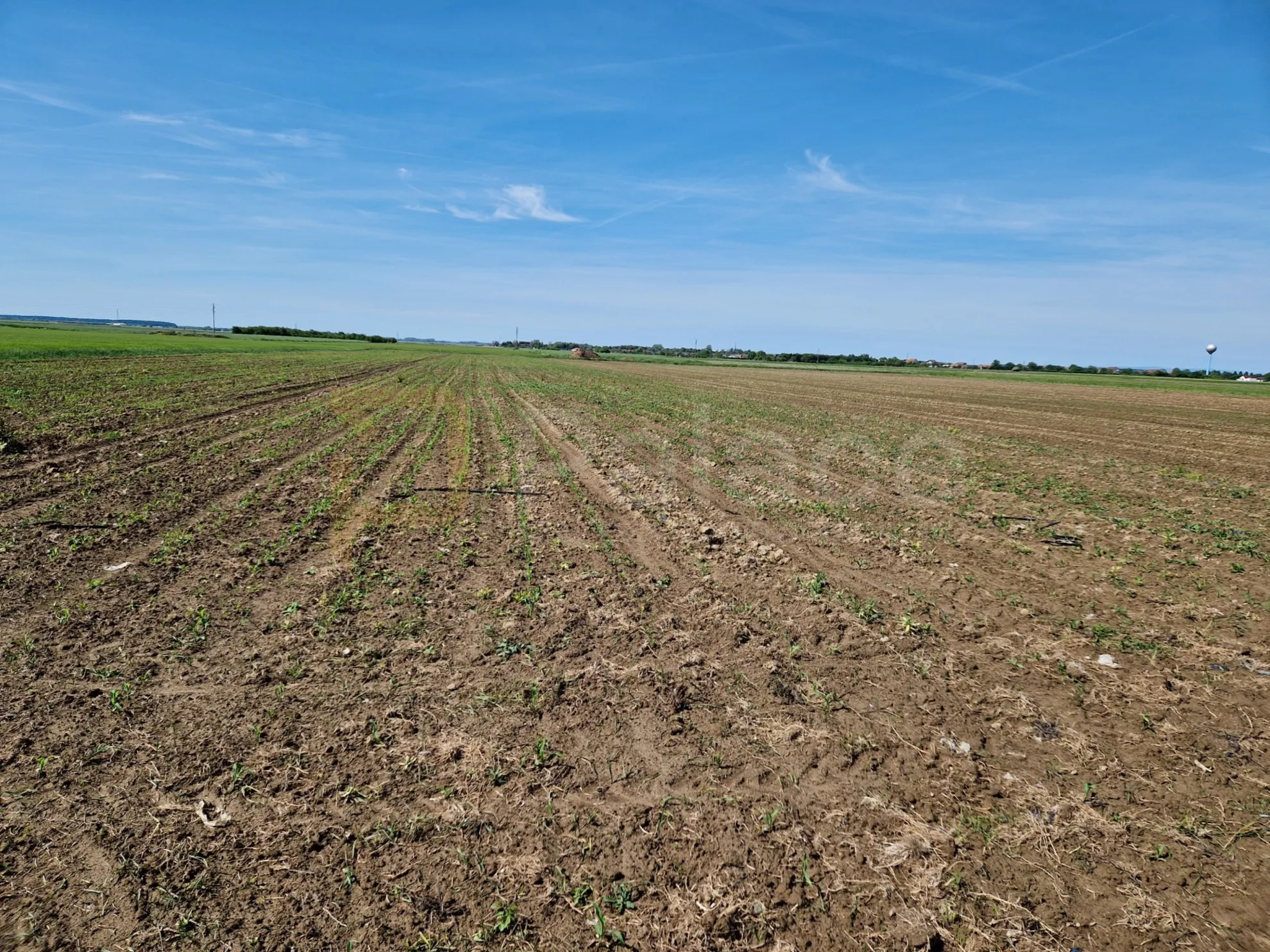 poljoprivredno zemljište kod čepina 7023 m2 - slika 2