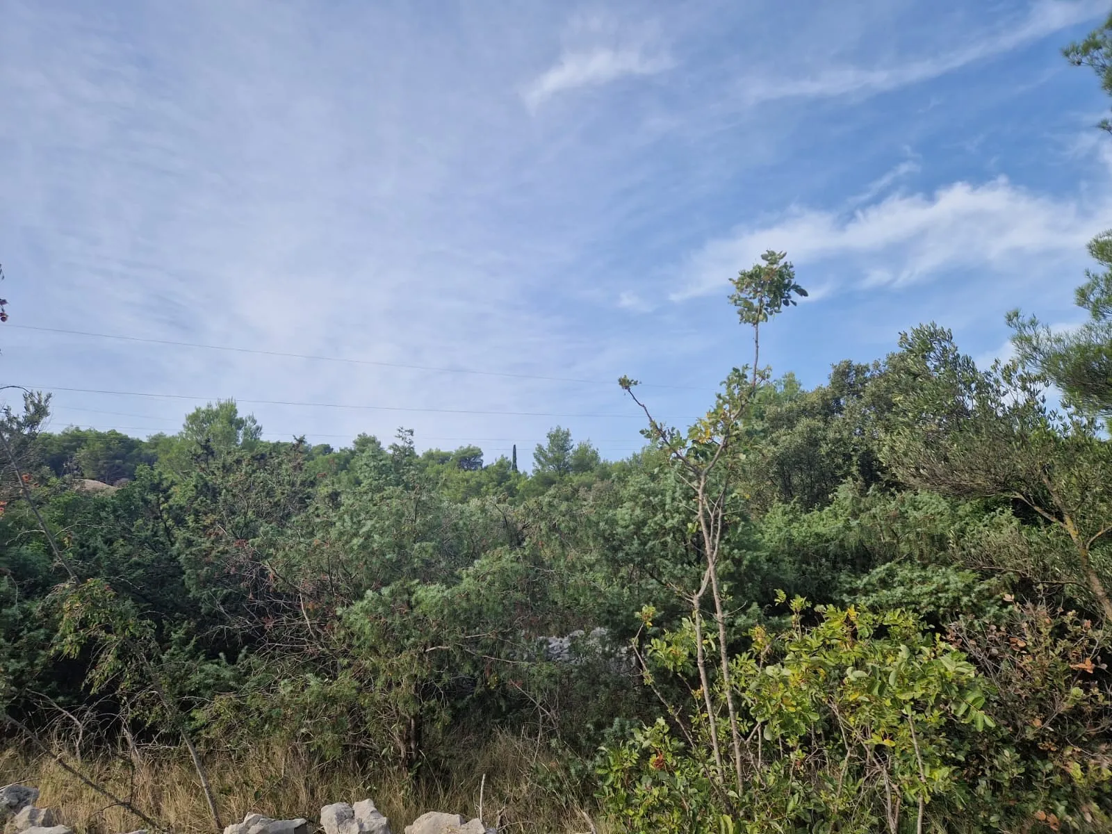 Poljoprivredno zemljište u Razorima 25036 m2 - Šibenik