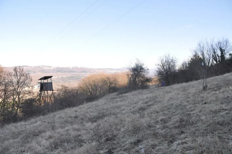 istra: okolica buzeta, građevinsko +poljoprivredno zemljište 82.500m2 - slika 2