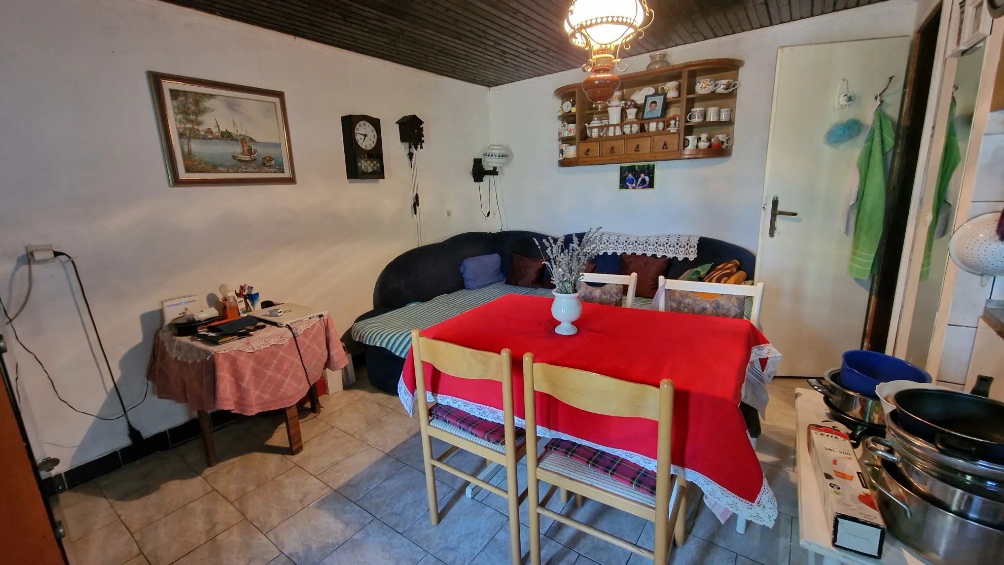 prodaja vikendice s vinogradom dalj planina - slika 2