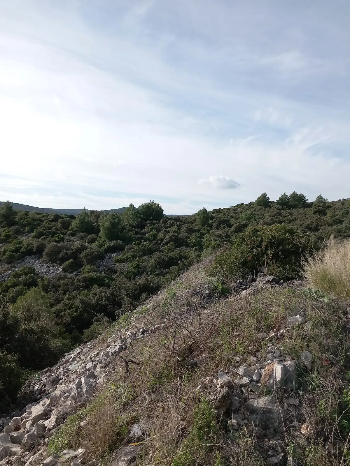 na prodaju poljoprivredno zemljište u marini, 4264 m² - slika 3