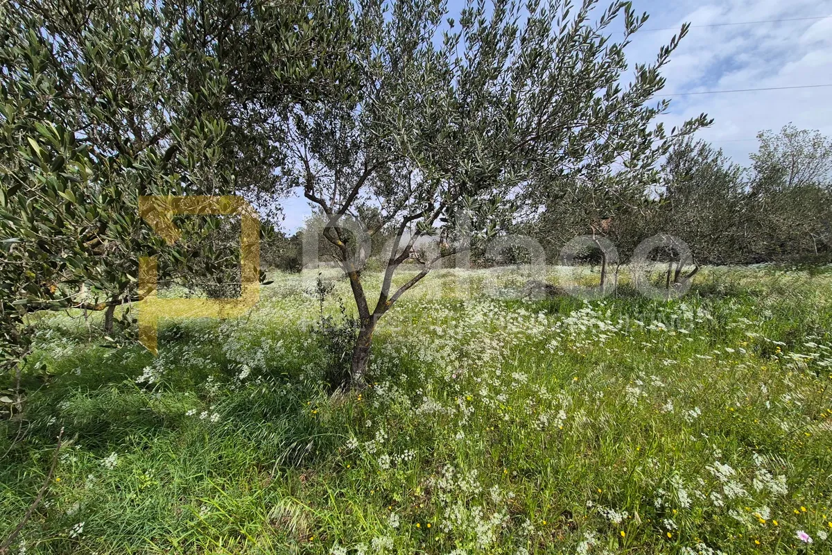 građevinsko zemljište 10 000 m2 u bilicama - slika 9