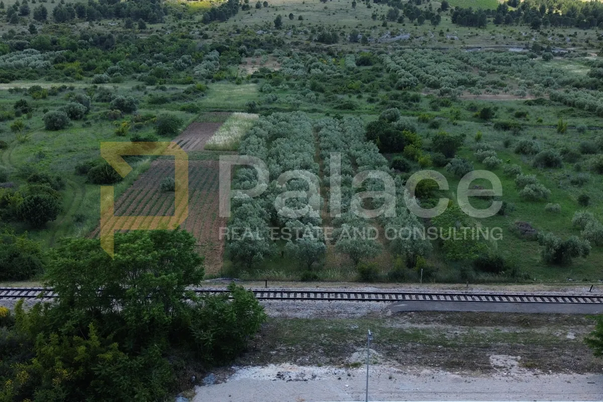 donje polje, šibenik: poljoprivredno zemljište s 40 maslina - slika 3