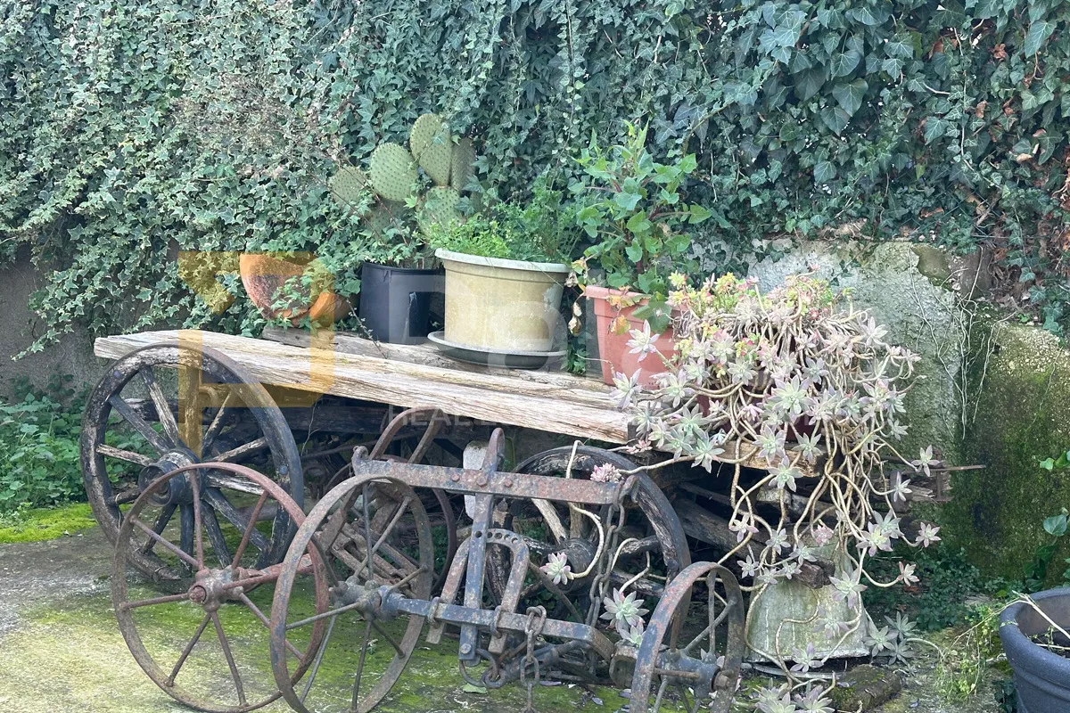 kuća s tri stana i velikom okućnicom s pomoćnim objektima - prilika! - slika 28