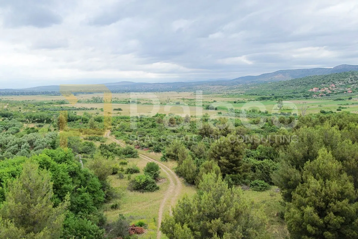 rodni maslinik s 19 maslina uredno održavan 1542 m2 skradin -međare - slika 4