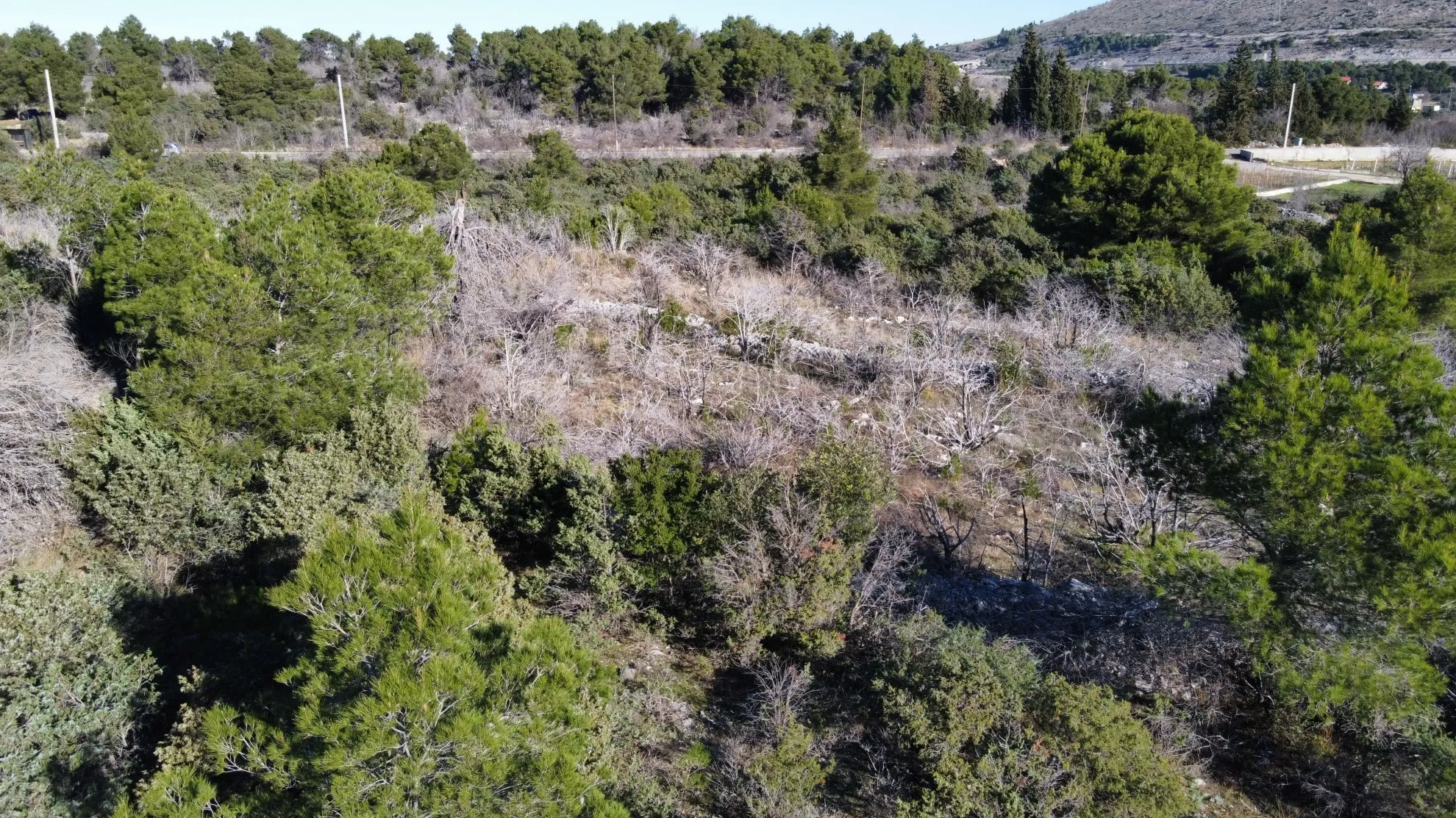 građevinsko zemljište, šibenik, bilice, 15.000 m2 - slika 8