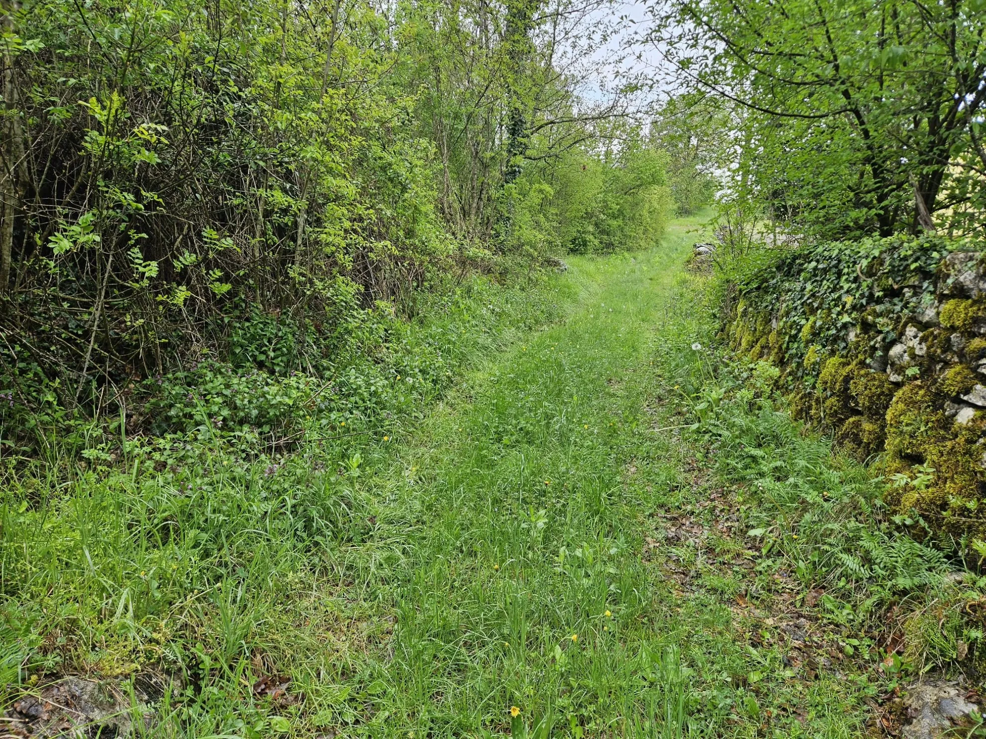 Građevinski teren u mirnom okruženju – Mali Brgud, Matulji, 1259m2