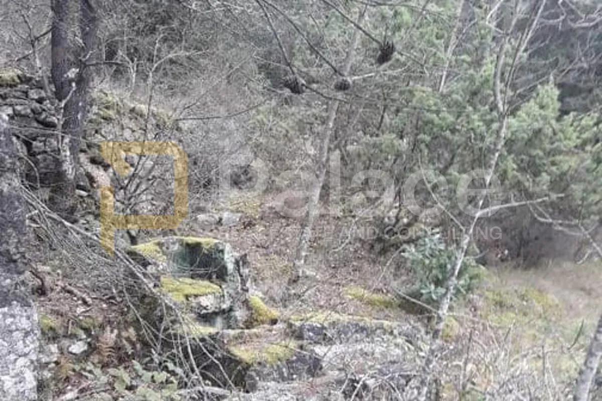 poljoprivredno zemljište, vrisnik na hvaru, 24000m² - slika 15