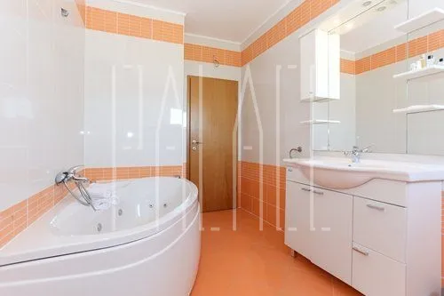 penthouse : seget donji, 170.00 m² - slika 11