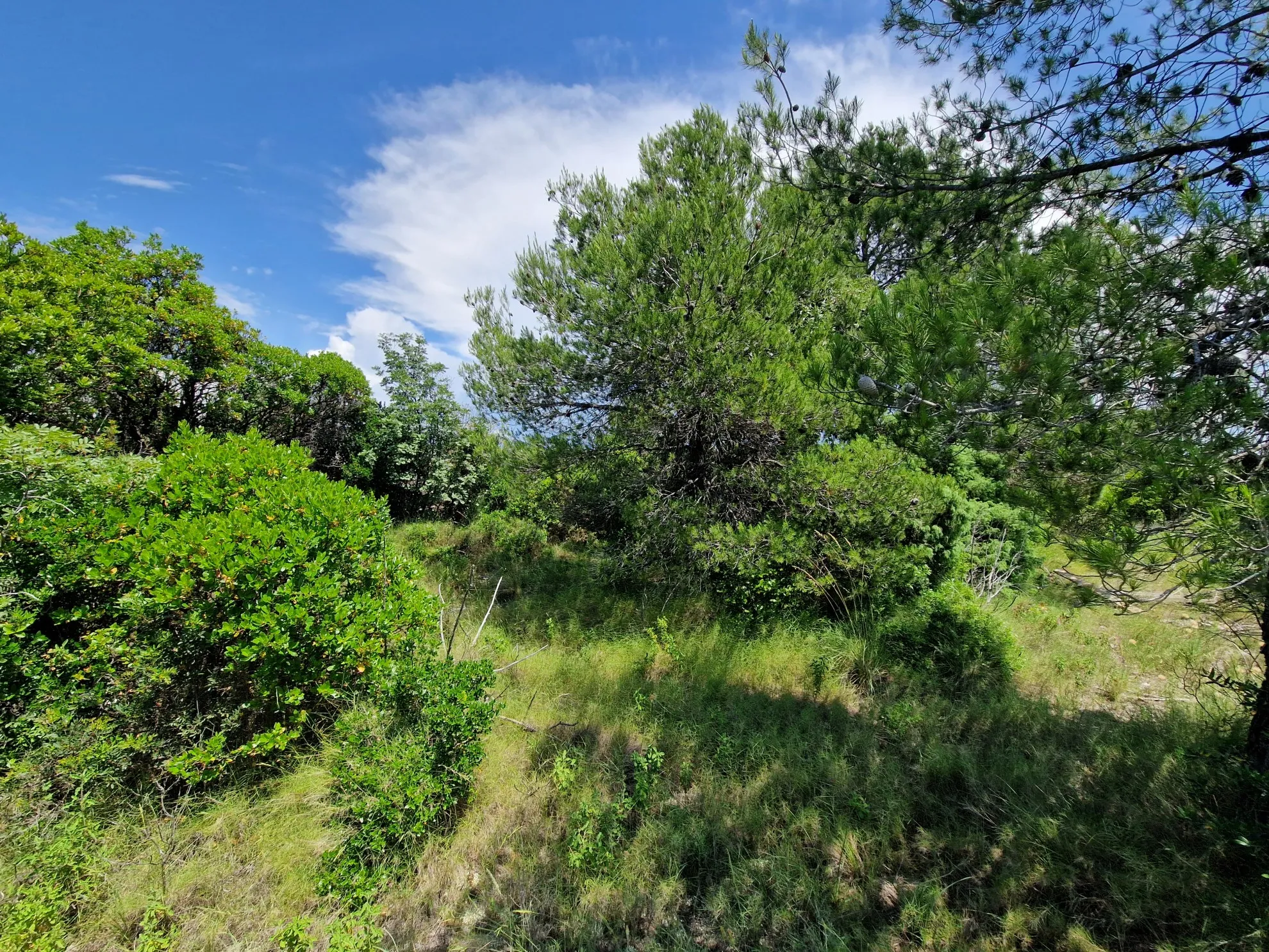 Građevinsko zemljište s pogledom, Brodarica - Brodarica, Šibenik