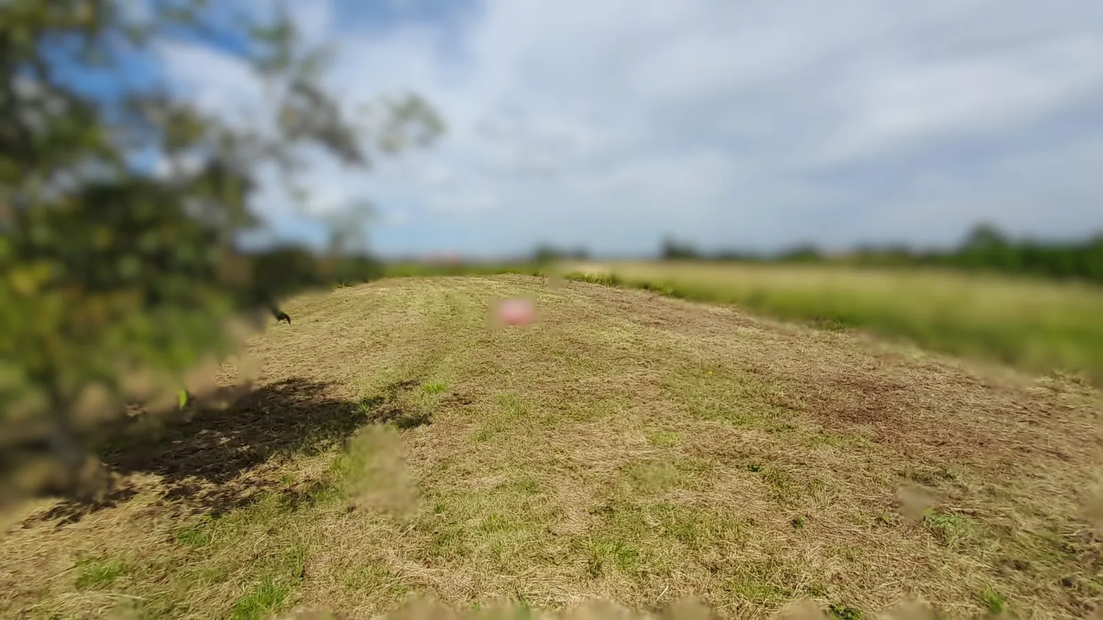 sniženo, građevinsko zemljište, zagreb, blato, 1.530 m2 - slika 3