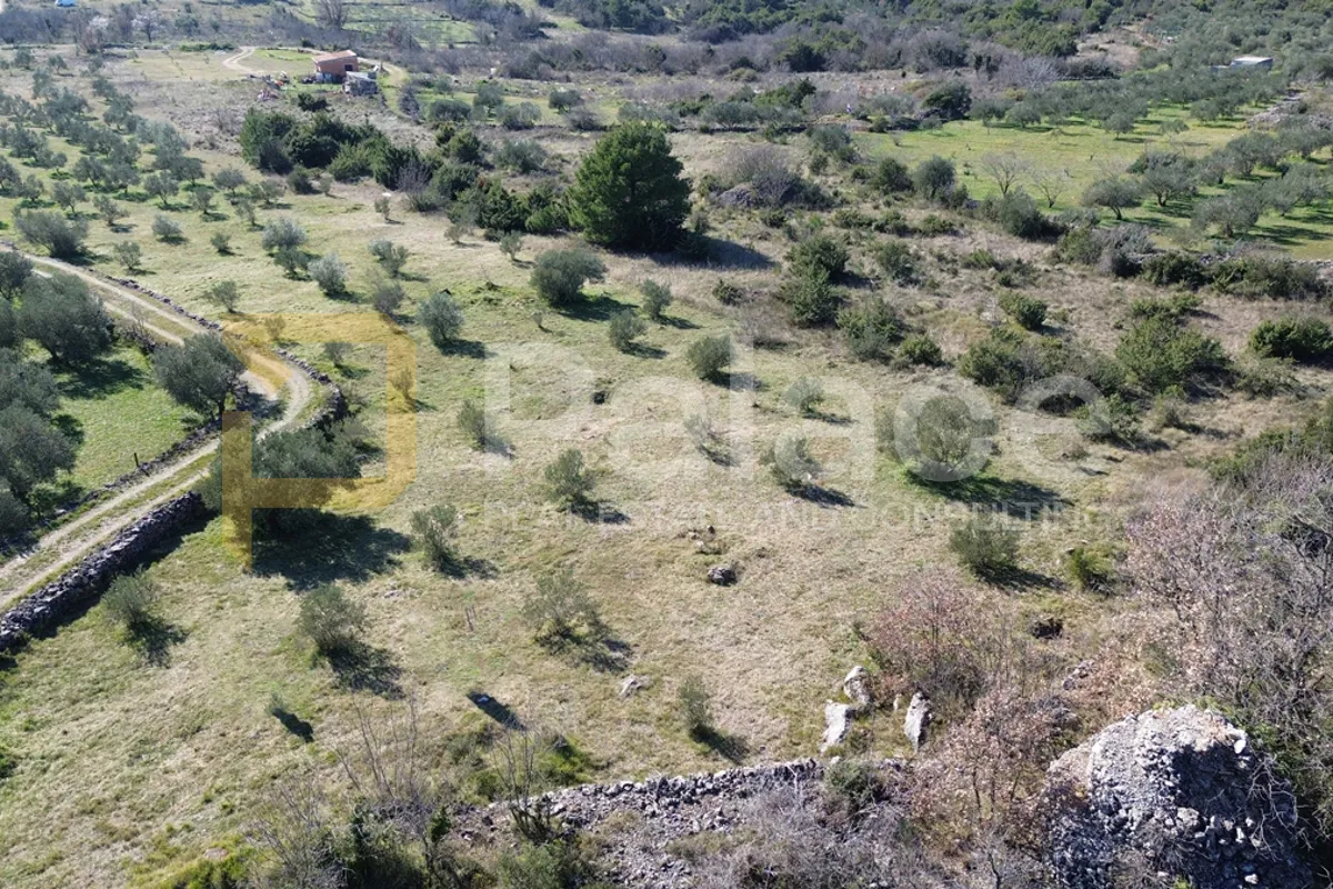 obrađeno poljoprivredno zemljište u zaleđu vodica - slika 1