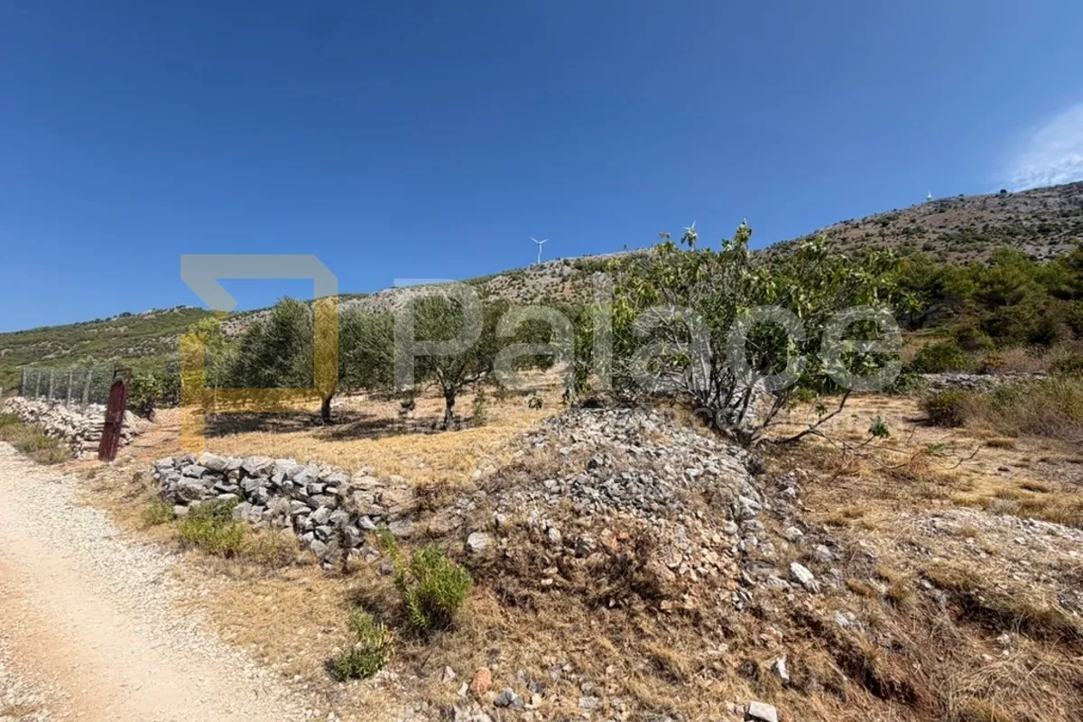 maslinik na uzvisini s pogledom, grebaštica - slika 5
