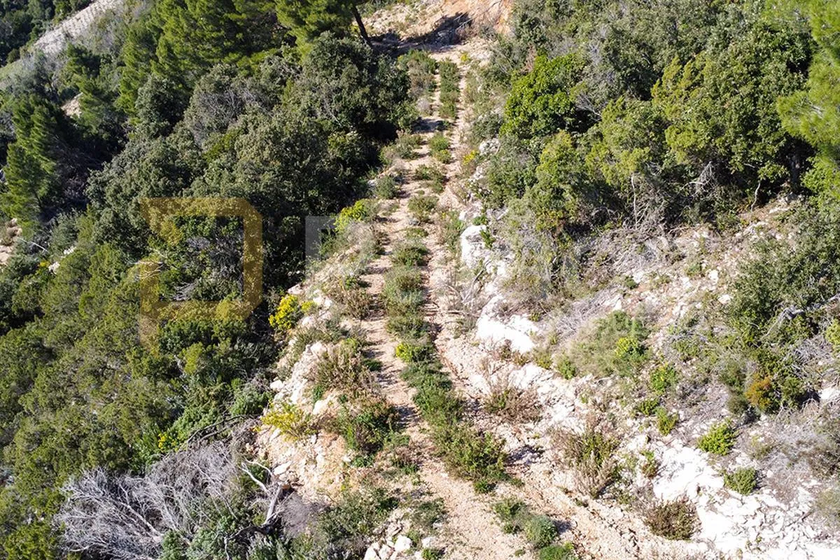 poljoprivredno zemljište s vinogradom, 40.000 m² uz more - pelješac - slika 13