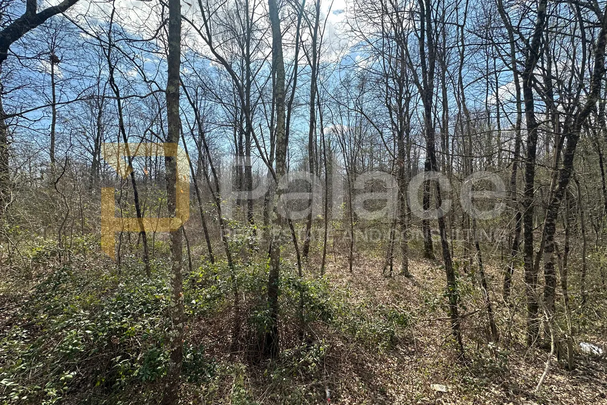 14.000 m2 u srcu Istre - Gračišće, investicijska prilika