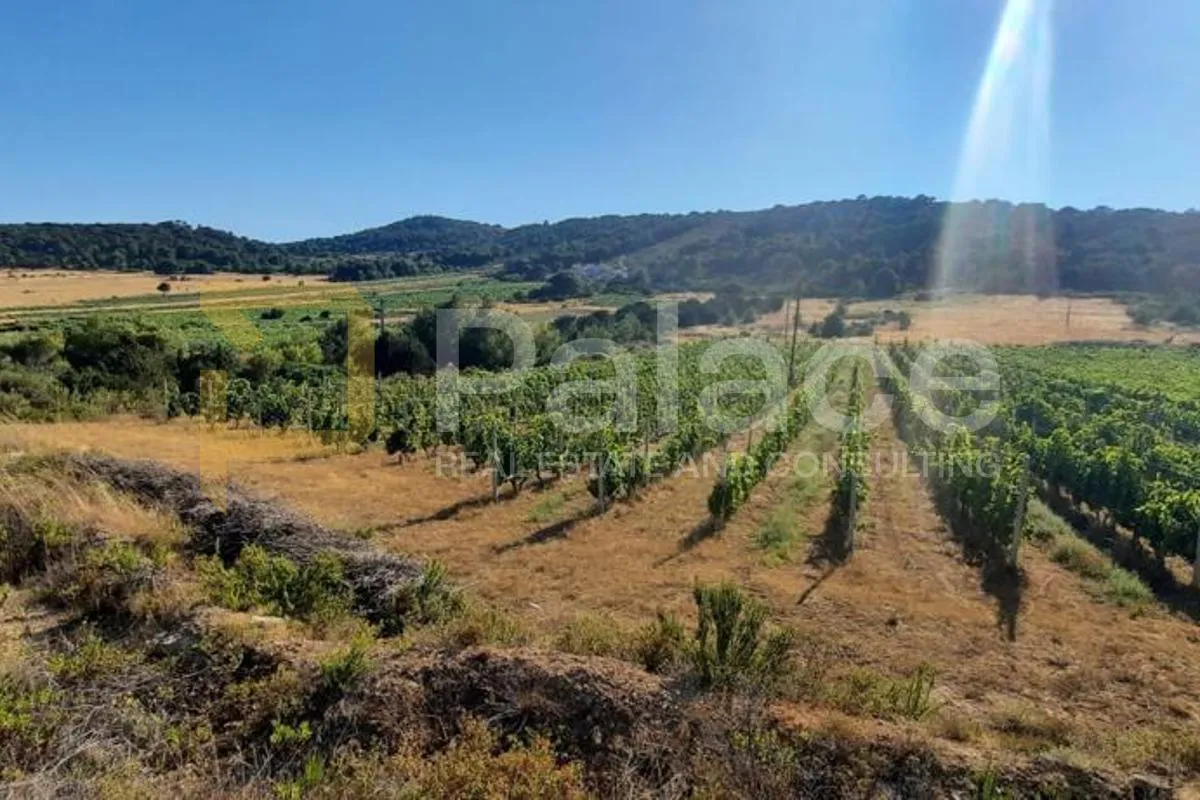 poljoprivredno zemljište s kućicom, 13.698 m² – vis, smokova - slika 4