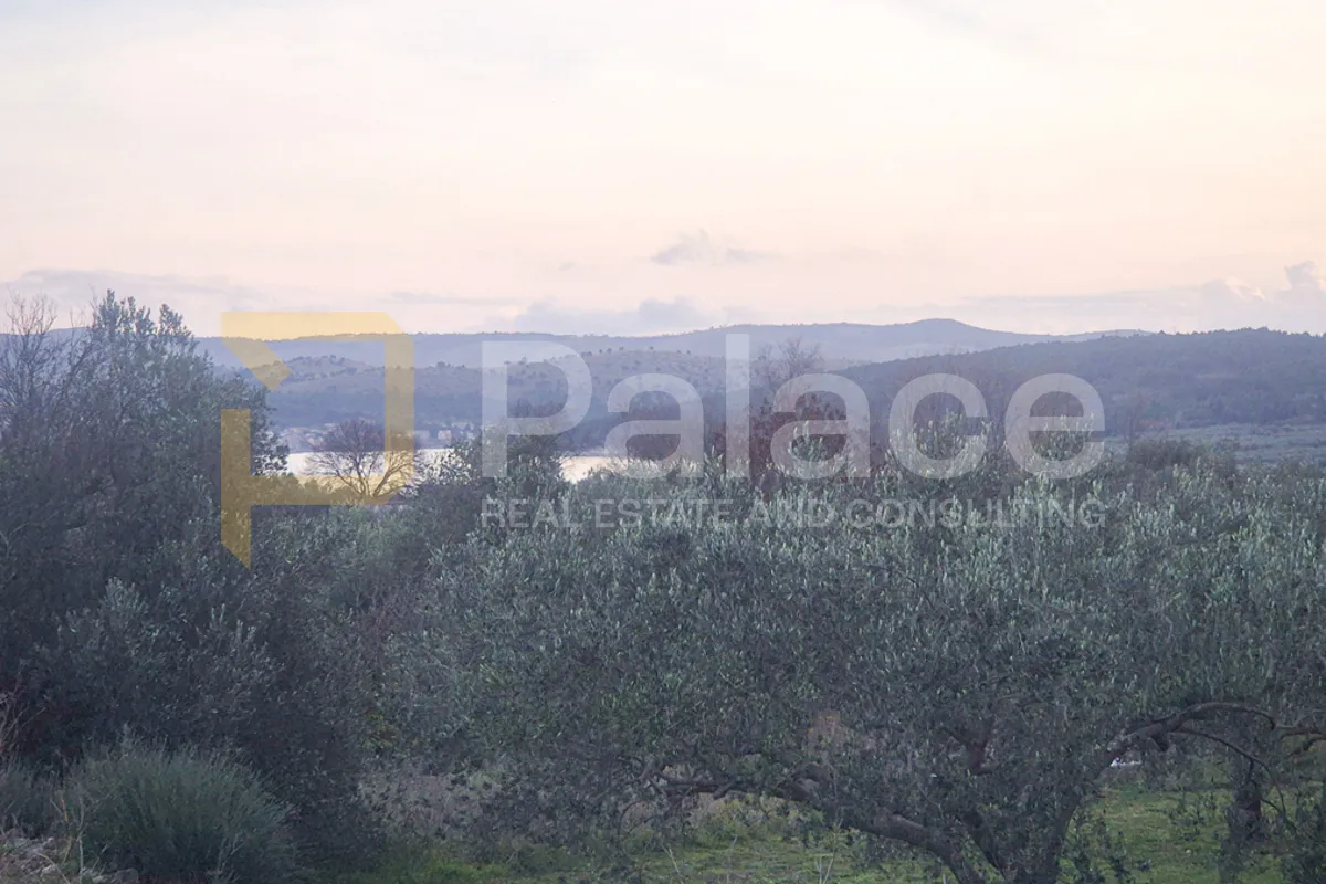 kuća na zemljištu s vinogradom i maslinikom, 2500 m2, donje polje - slika 5