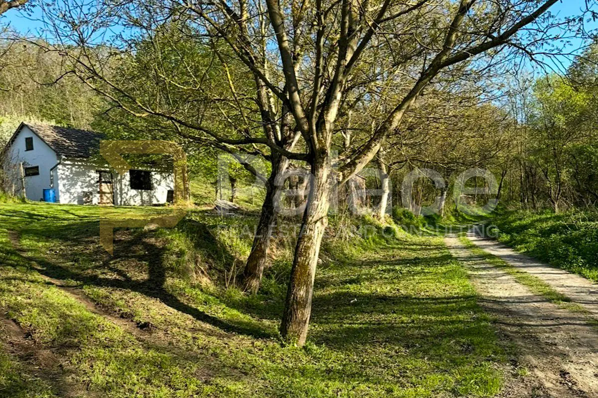 kuća s velikim zemljištem i vinogradom – savršeno za ruralni turizam - slika 7