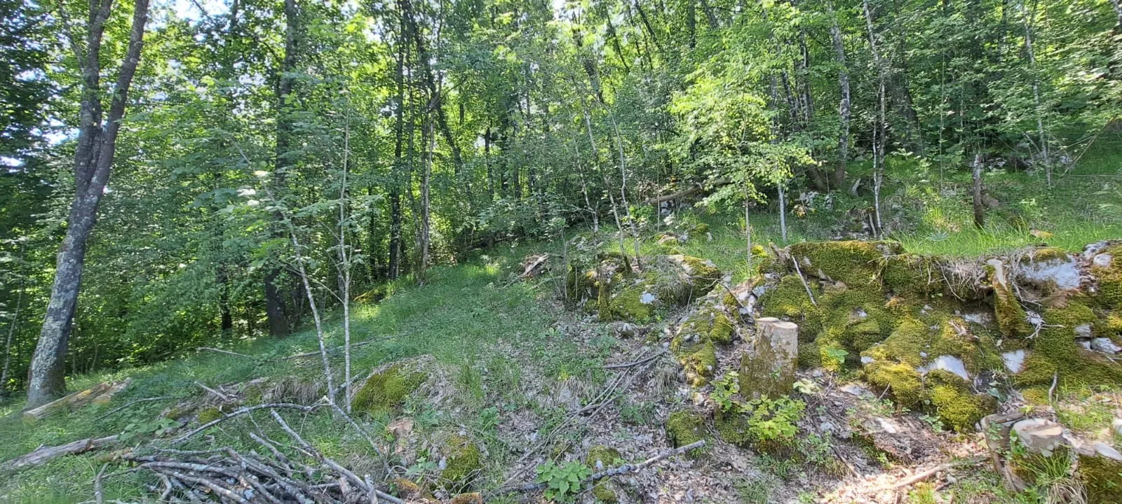 Prilika! Prostrano građevinsko zemljište, 5387m2, Matulji (Zvoneća) - Zvoneća, Matulji