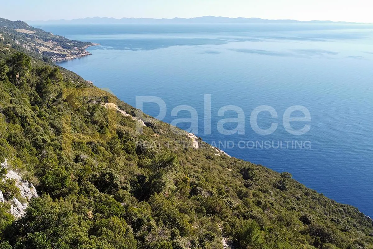poljoprivredno zemljište s vinogradom, 40.000 m² uz more - pelješac - slika 15
