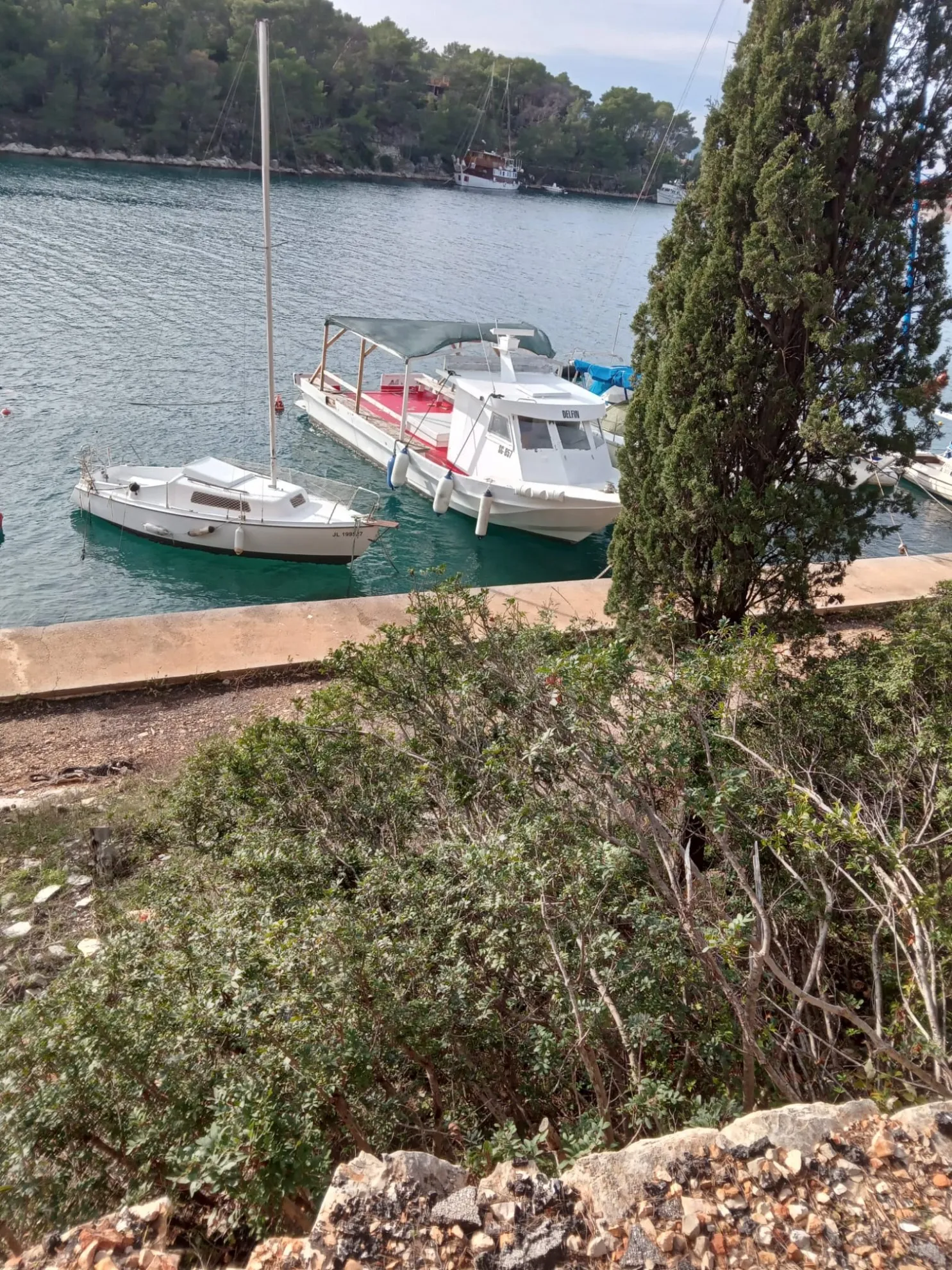 Poljoprivredno zemljište u Vrboskoj, Hvar, 6550 m2 - Vrboska, Jelsa