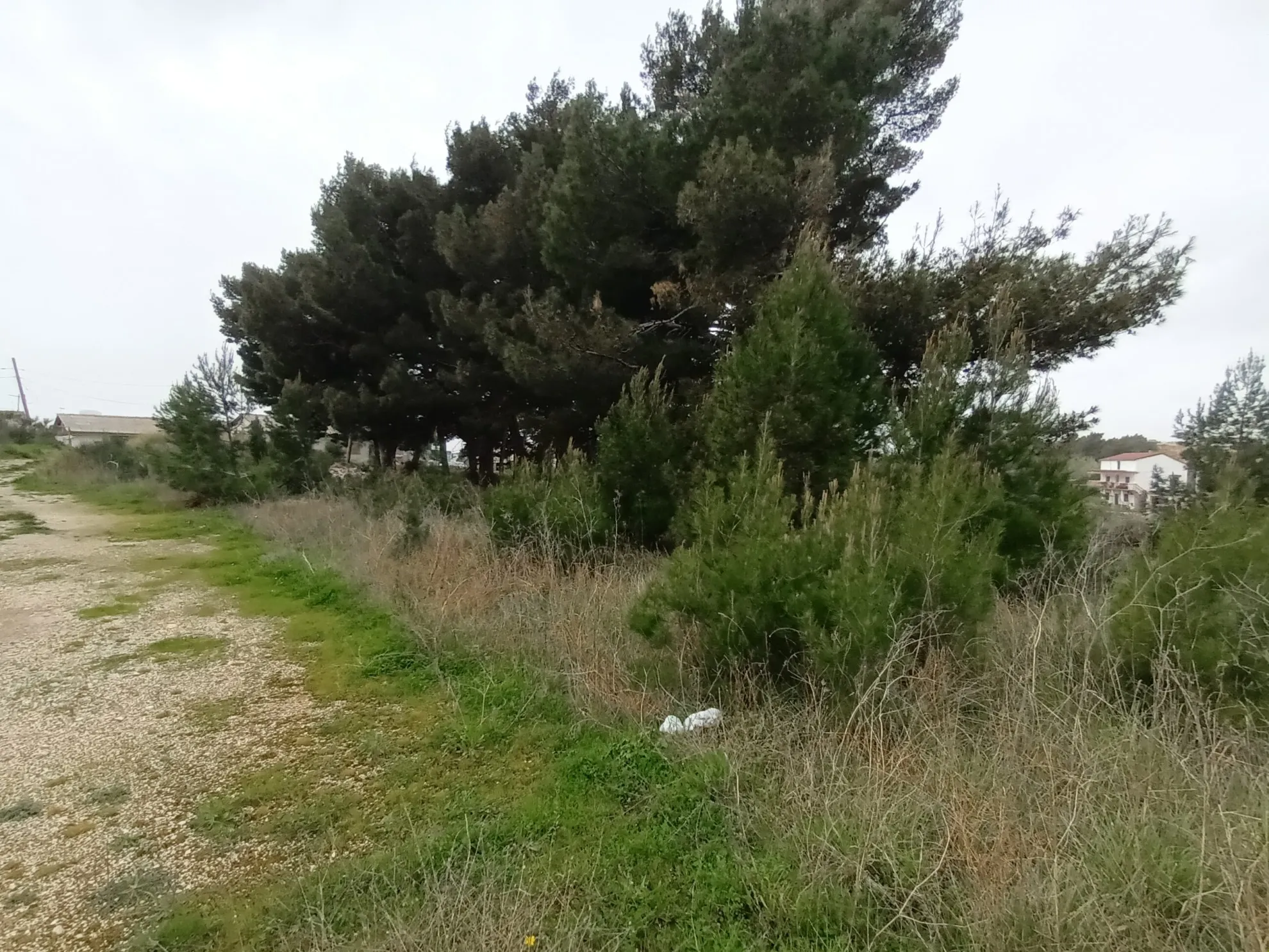 građevinsko zemljište, solin, 1813 m2 - slika 5