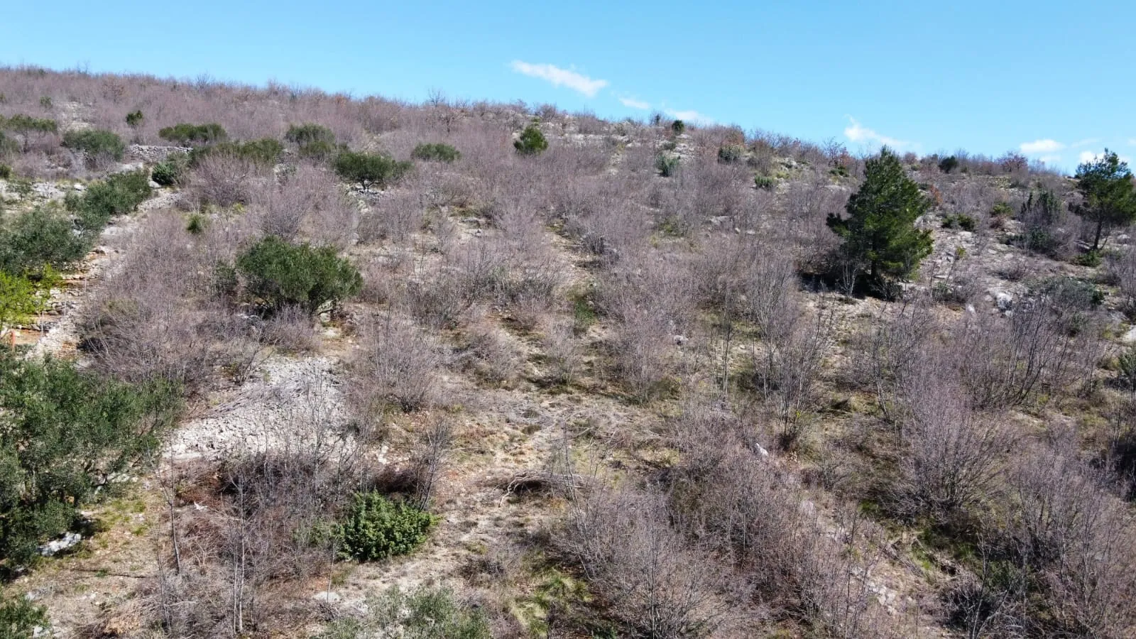 građevinsko zemljište, kruševo - meka draga, 963 m2 - slika 3