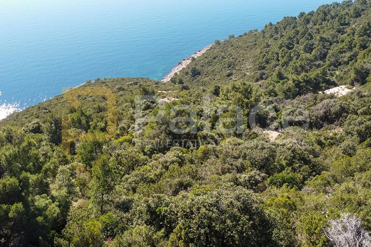 poljoprivredno zemljište s vinogradom, 40.000 m² uz more - pelješac - slika 12