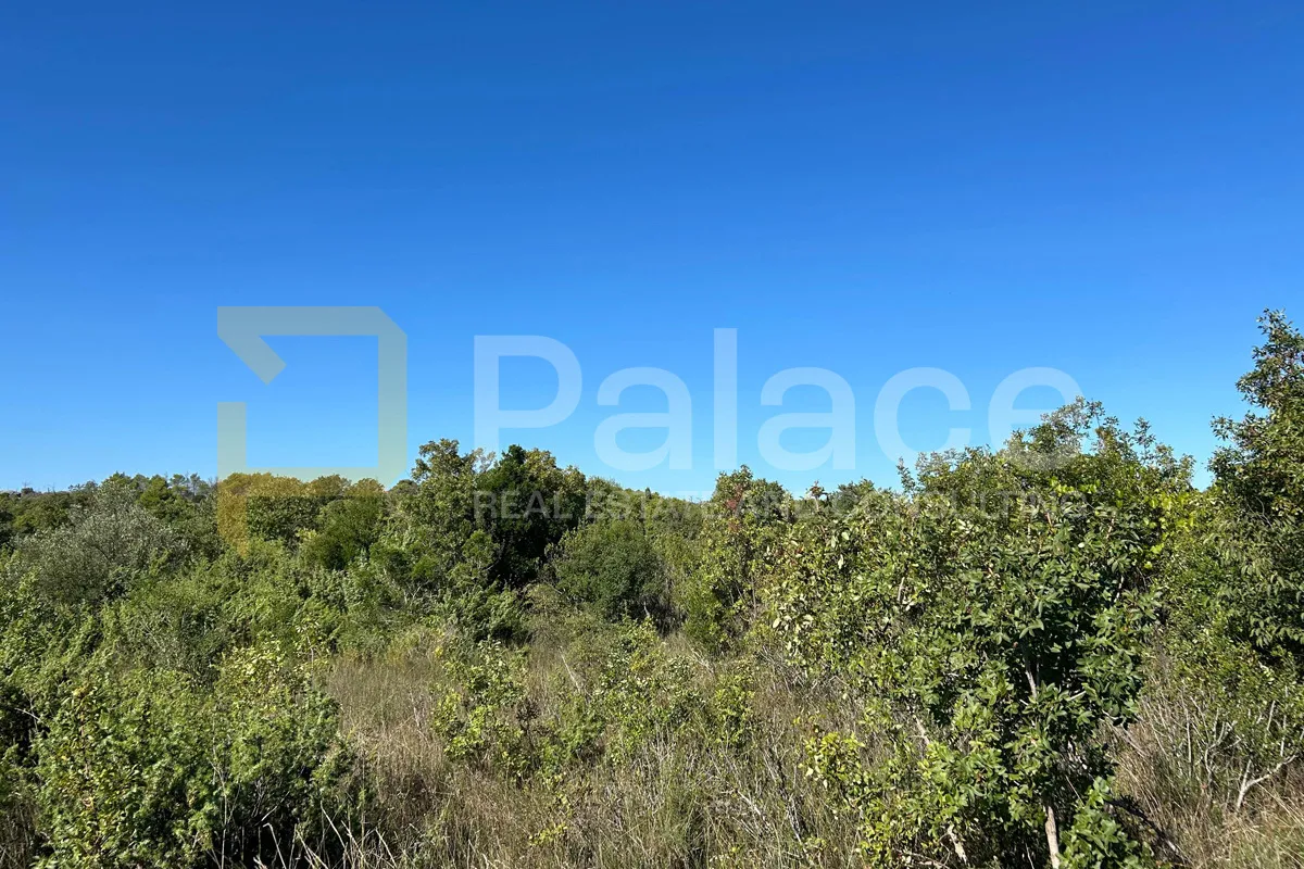 poljoprivredno zemljište u zaleđu vodica 1376 m2 - slika 3