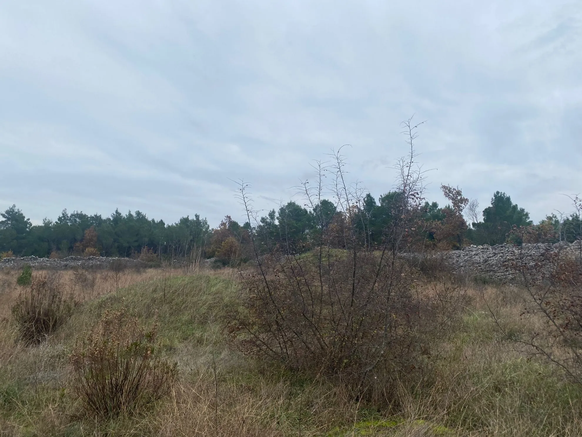 građevinsko zemljište 1329 m2 u dubravi - slika 2