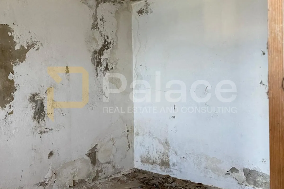 korčula, račišće - kamena kuća uz more i velika parcela - slika 6