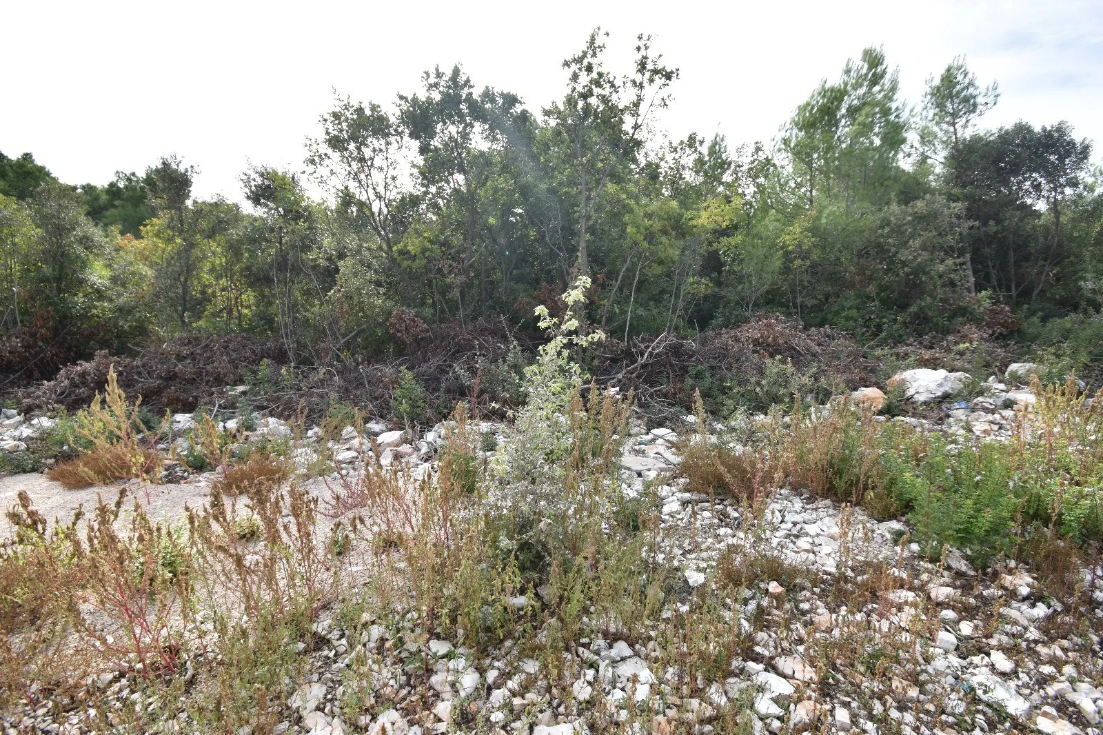 tribunj, sovlje - građevinsko zemljište 2102 m2 - slika 4