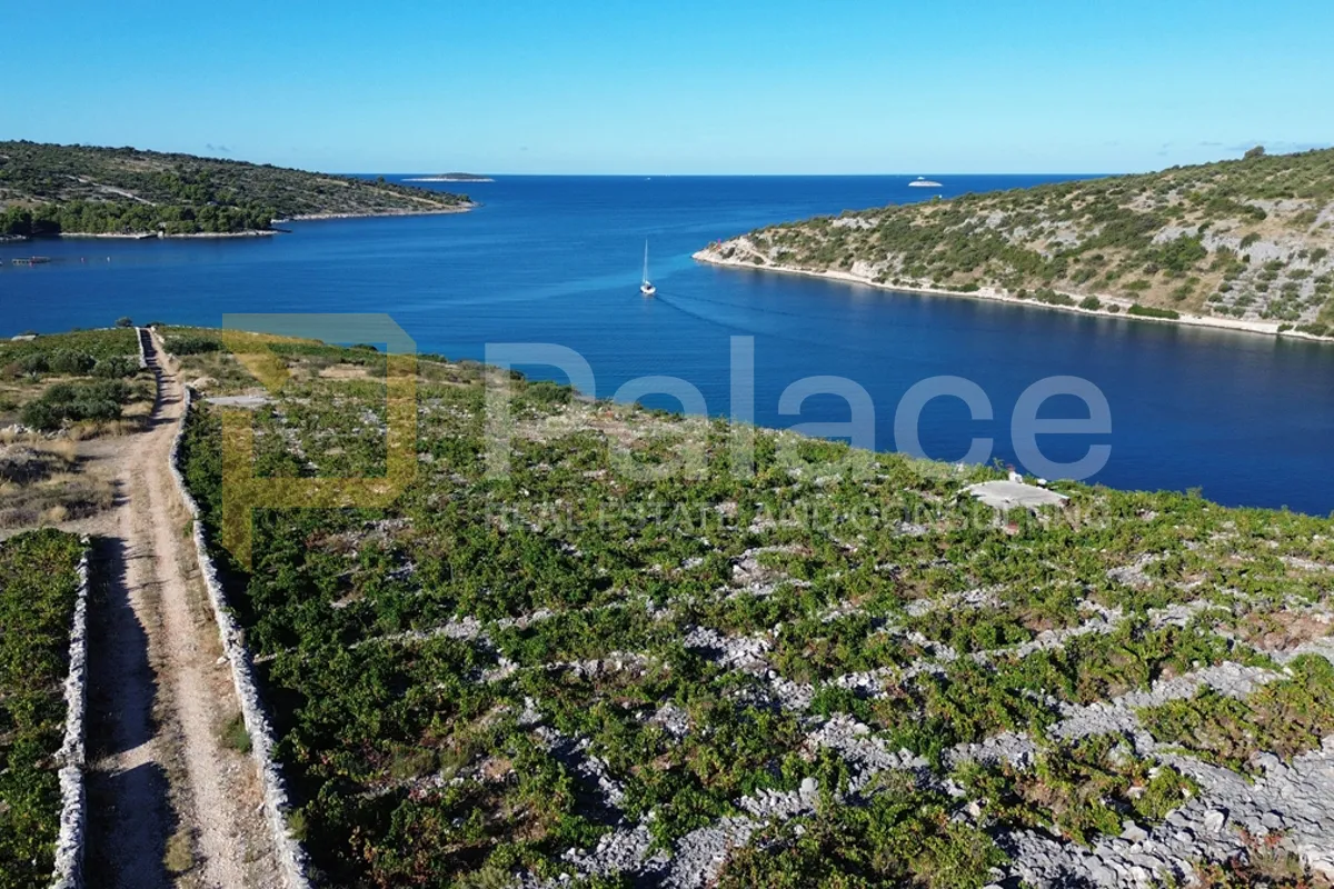 rodni vinograd uz more u primoštenu - bucavac, 6305m2 - slika 2