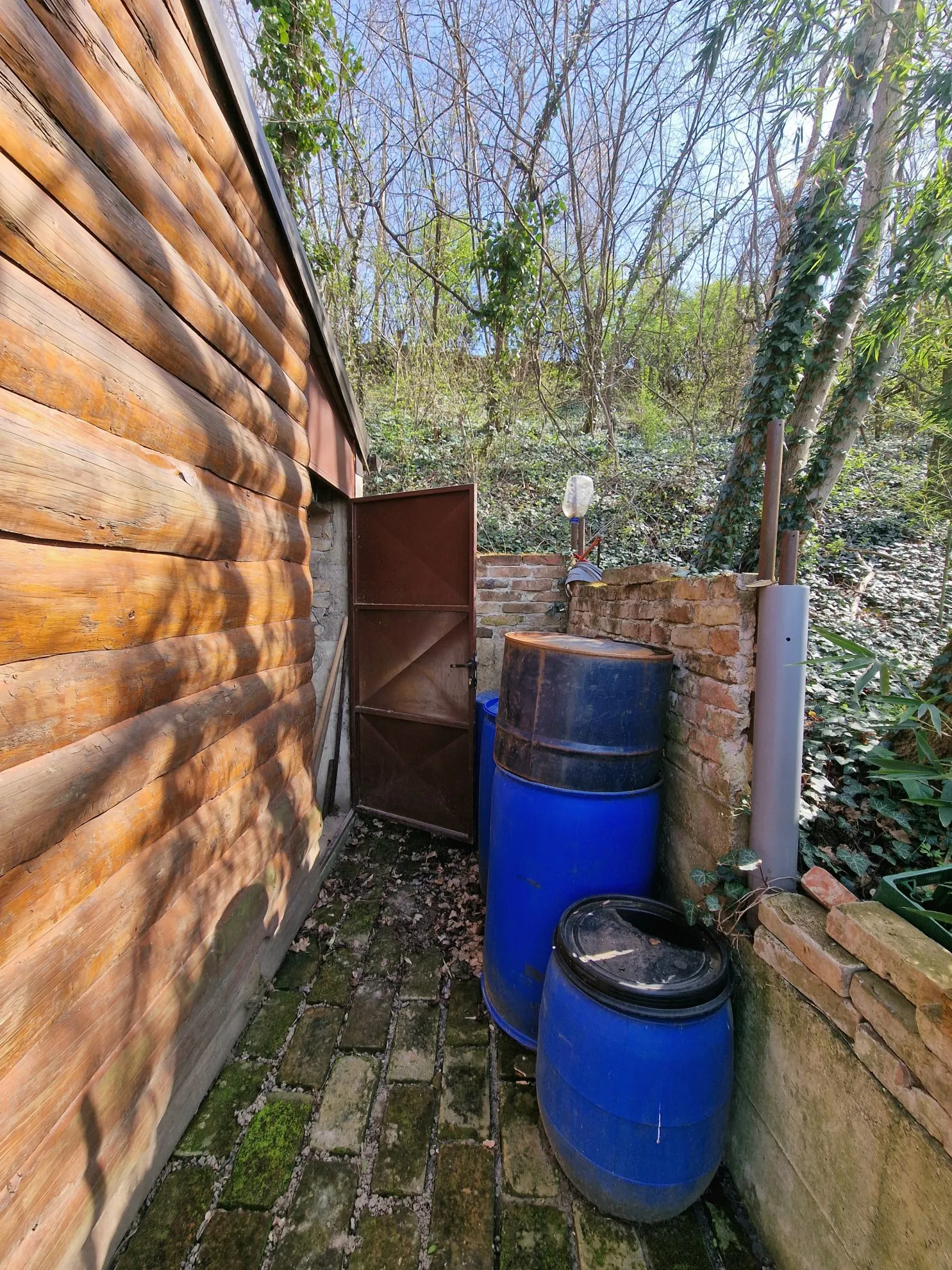 bajkovita kućica s predivnim pogledom, u zelenoj oazi, aljmaš - slika 4