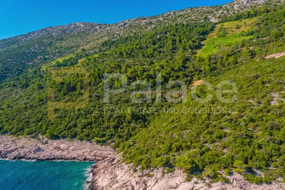 poljoprivredno zemljište s vinogradom, 40.000 m² uz more - pelješac - slika 7