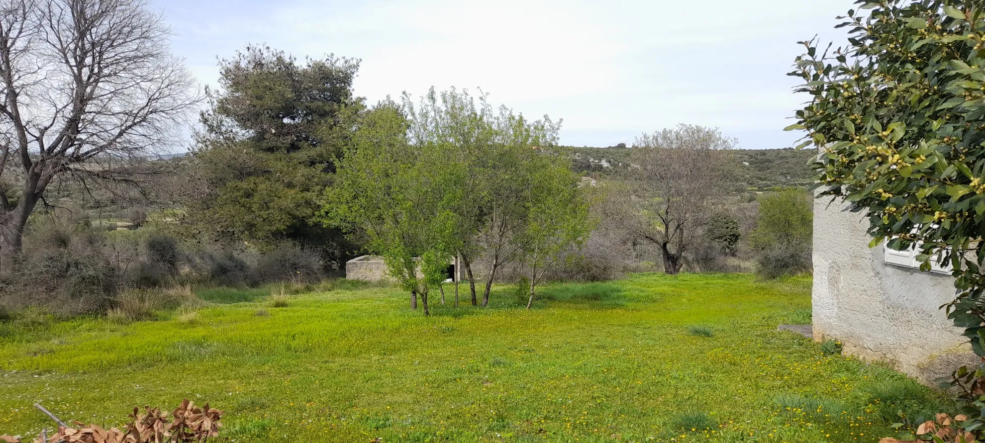 kuća u vrpolju na parceli od 1500 m2 - slika 10
