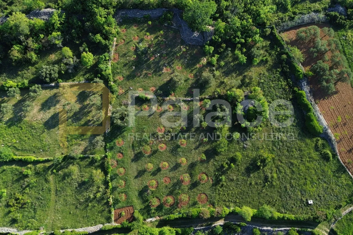 prodaja terena proizvodne namjene - bilice 3254m2 - slika 3