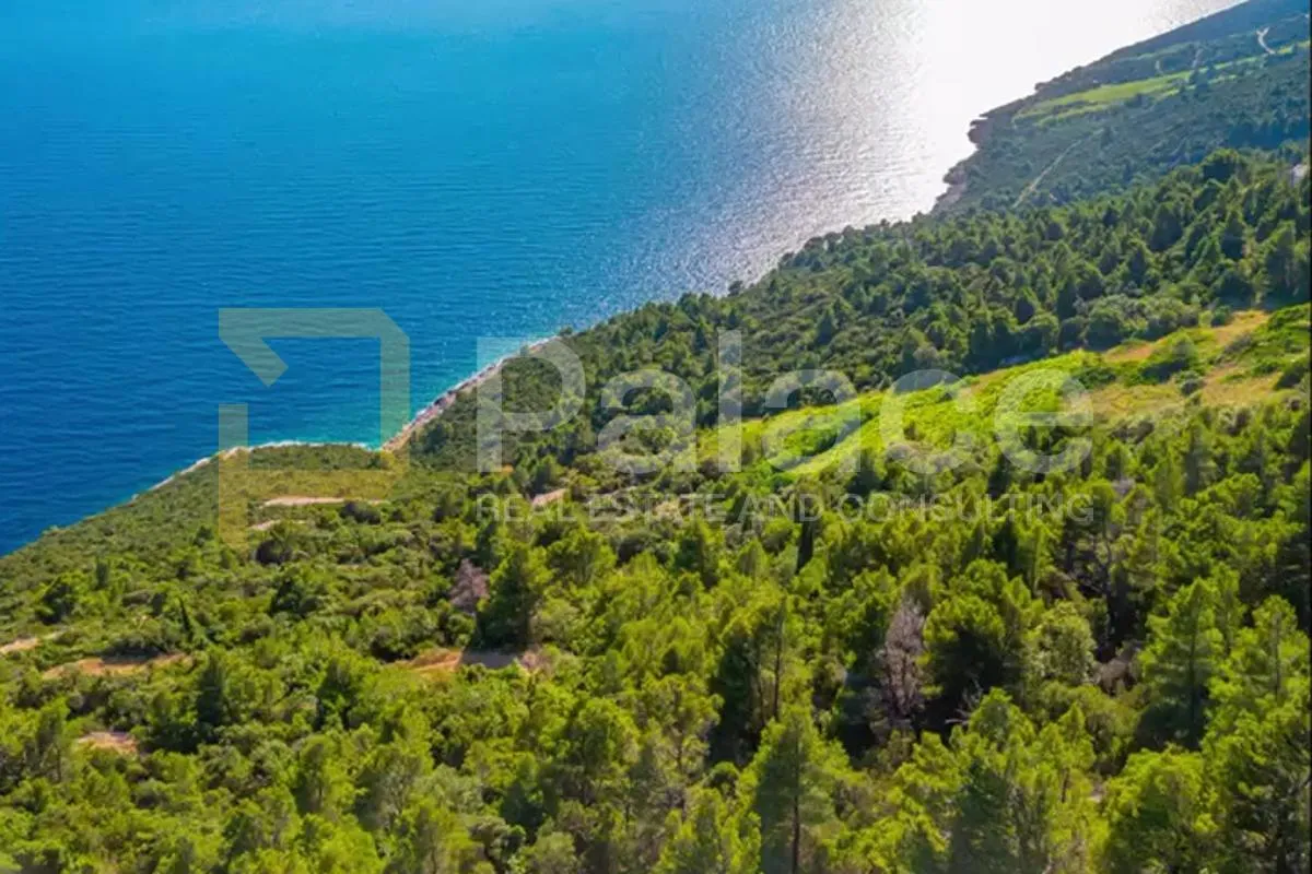 poljoprivredno zemljište s vinogradom, 40.000 m² uz more - pelješac - slika 9