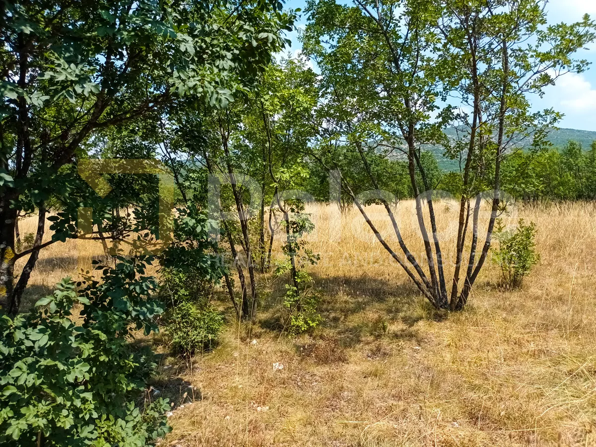 građevinsko zemljište, prugovo, 800 m2 - slika 3