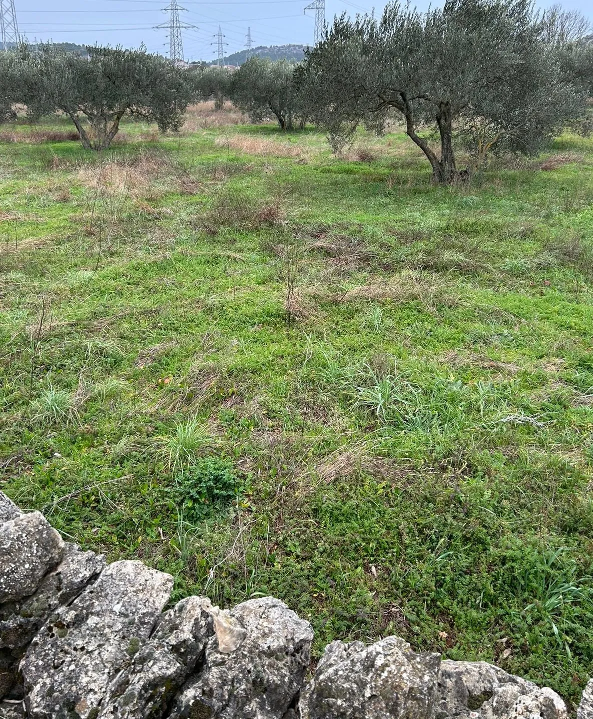 atraktivno građevinsko zemljište površine 3719m2, bilice - slika 2
