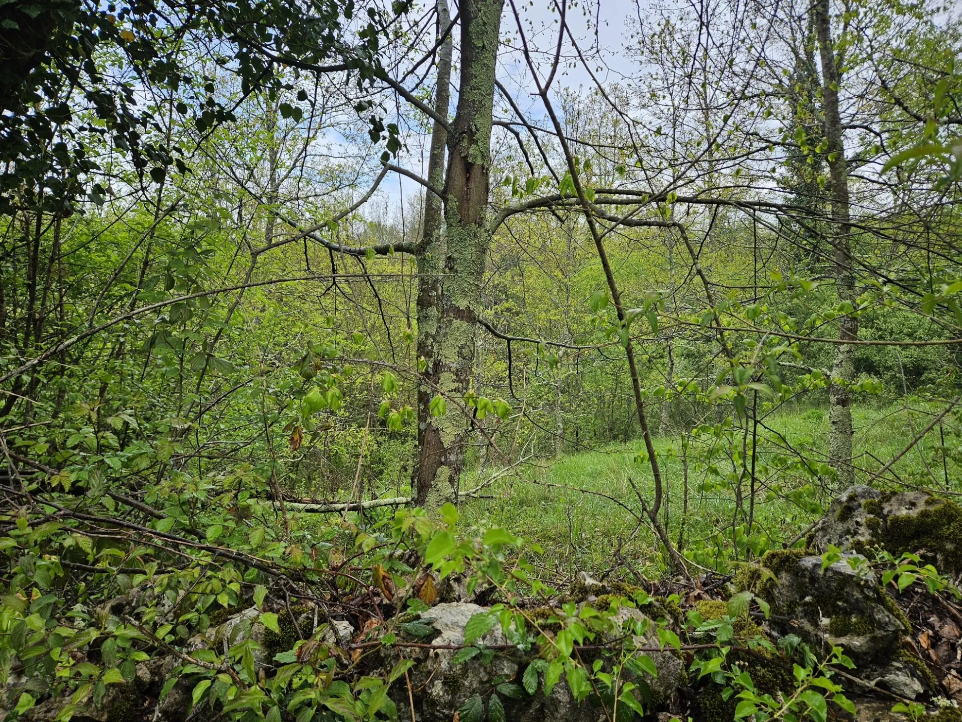 građevinski teren u mirnom okruženju – mali brgud, matulji, 1259m2 - slika 4