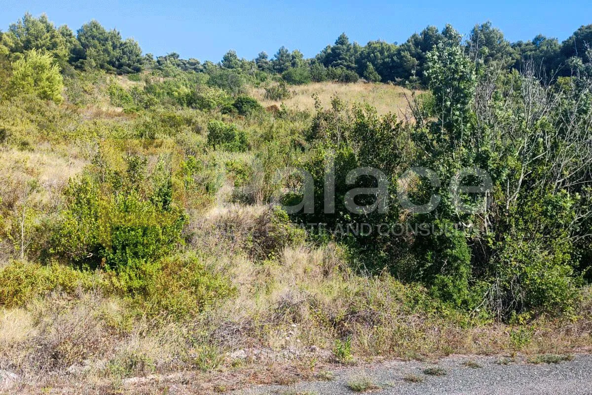 poljoprivredno zemljište na visu, 7127 m2 - slika 6
