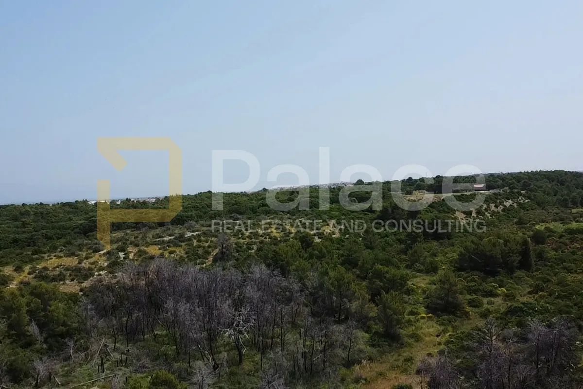 zemljište – 1503 m² – atraktivna lokacija u zadru - slika 7
