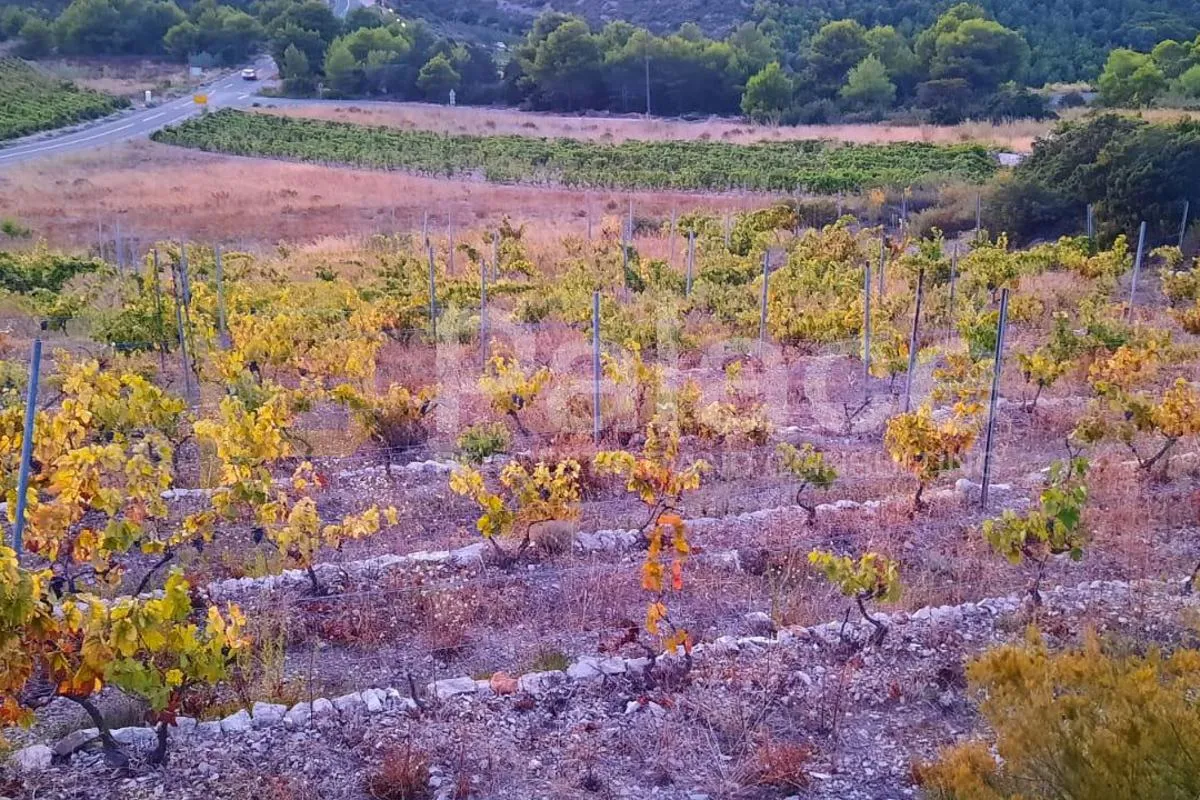 poljoprivredno zemljište s kućicom, 13.698 m² – vis, smokova - slika 6