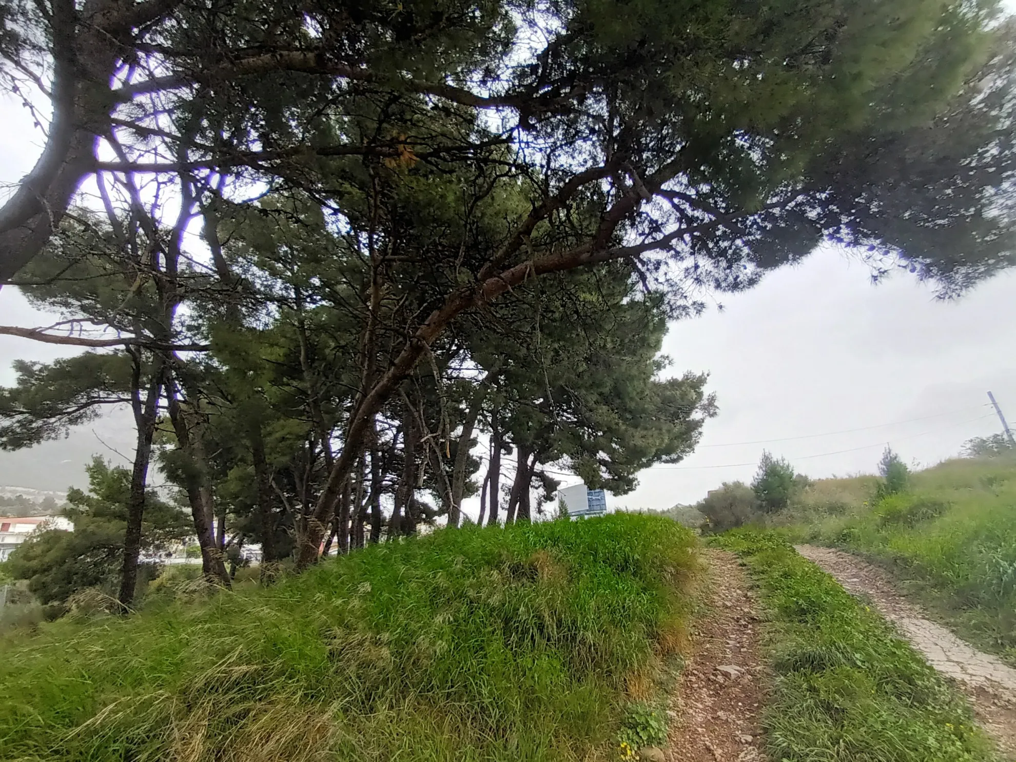 građevinsko zemljište, solin, 1813 m2 - slika 2