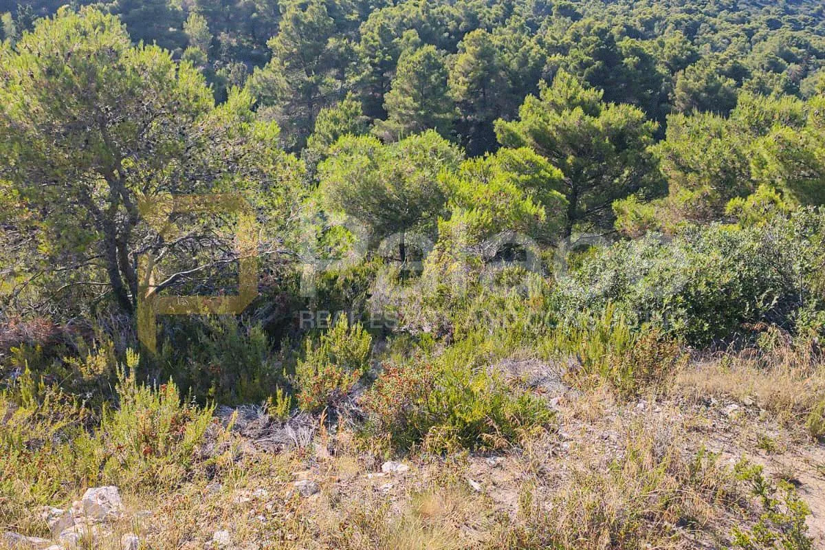 poljoprivredno zemljište na visu, 7127 m2 - slika 2