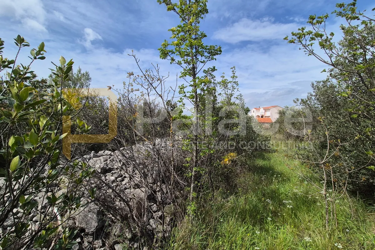građevinsko zemljište 10 000 m2 u bilicama - slika 5