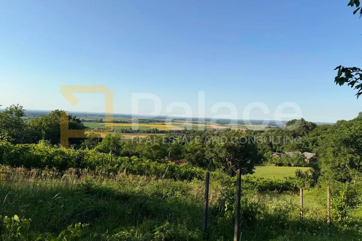 na prodaju šarmantan vinograd - slika 6