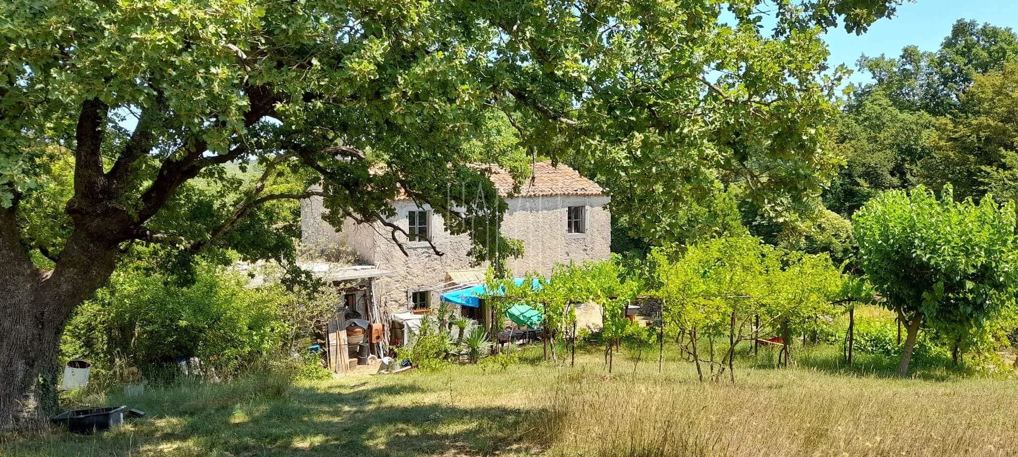 rabac (okolica), održavano imanje sa šumom 27800 m2 - slika 5