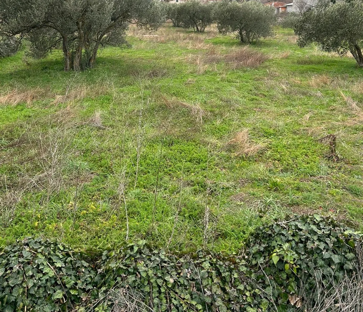 atraktivno građevinsko zemljište površine 3719m2, bilice - slika 3